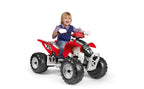 Polaris Outlaw 330W